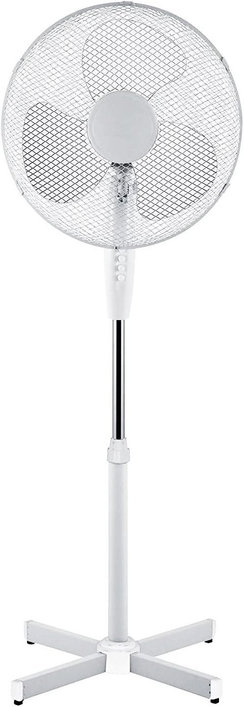 White fan 1.jpg