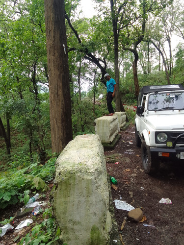 IMG 20230711 162019.jpg