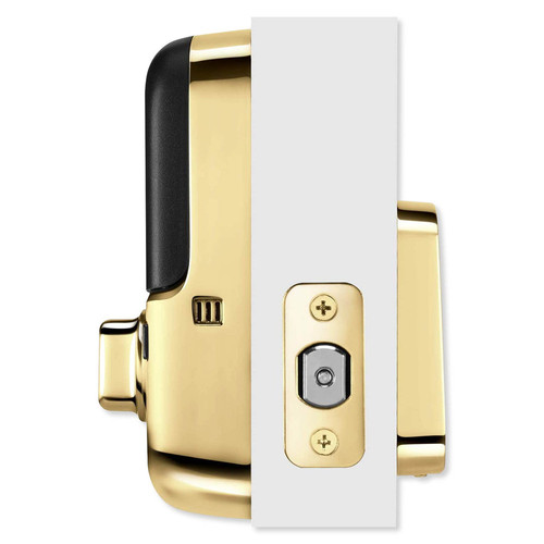 YAYRD256HA2x media Lifetime Brass 272.jpg
