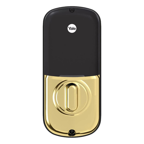 YAYRD156ZW2x media Lifetime Brass 271.jpg