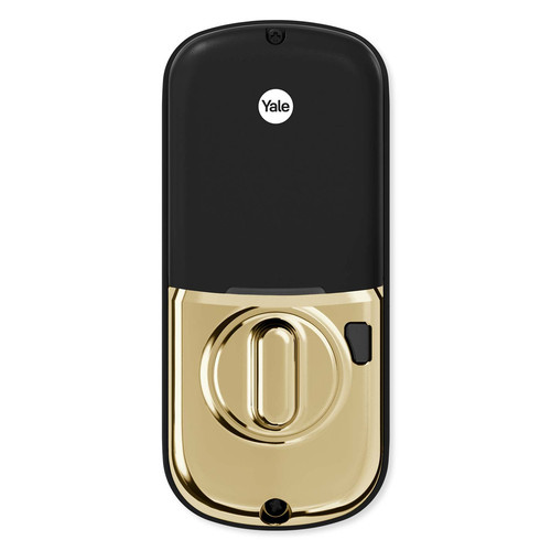 YAYRD226HA2x media Lifetime Brass 271.jpg