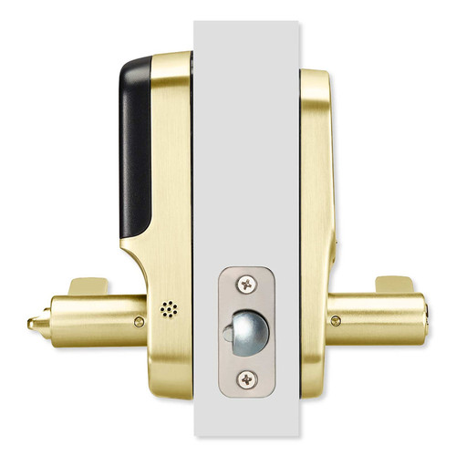 YAYRL216ZW2x media Lifetime Brass 272.jpg