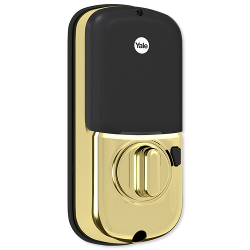 YAYRD226CBAx media Lifetime Brass 271.jpg