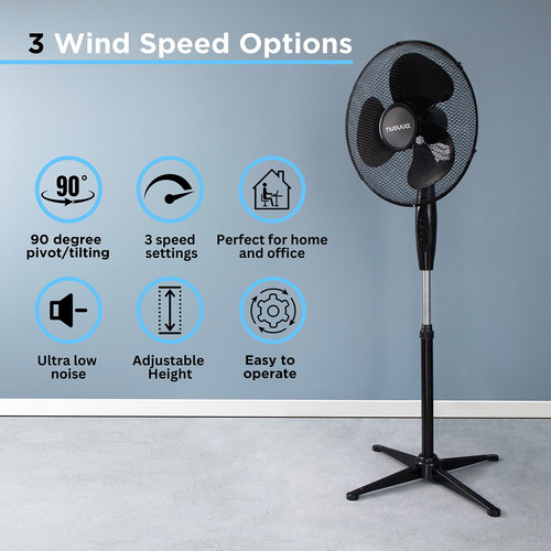 Black fan 3.jpg
