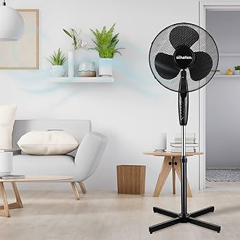 Black fan 4.jpg