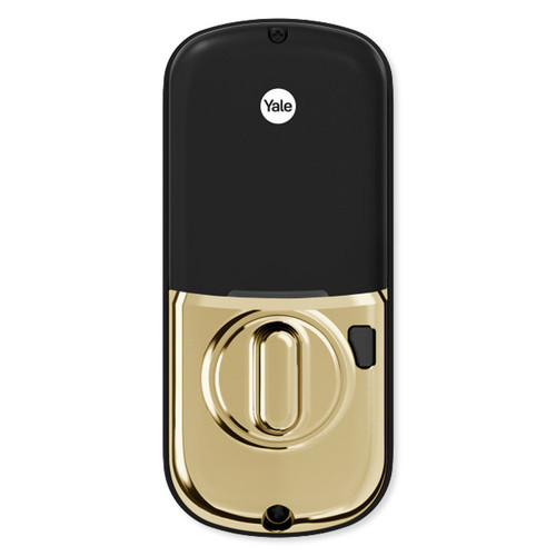 YAYRD216CBAx media Lifetime Brass 271.jpg