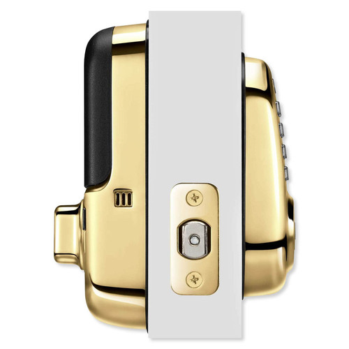 YAYRD216HA2x media Lifetime Brass 273.jpg