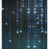 Card 1.1 (1).png