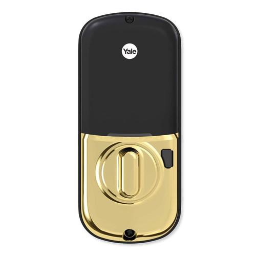 YAYRD216HA2x media Lifetime Brass 272.jpg