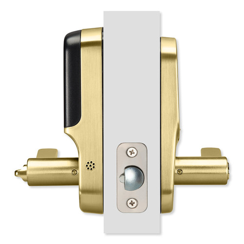 YAYRL226ZW2x media Polished Brass 392.jpg