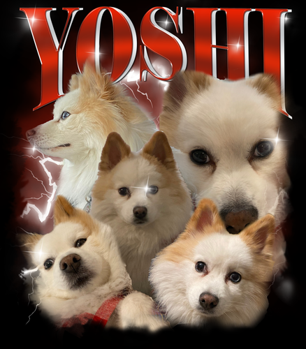 yoshi.png
