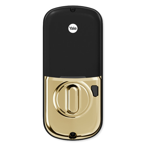YAYRD256ZW2x media Lifetime Brass 271.jpg