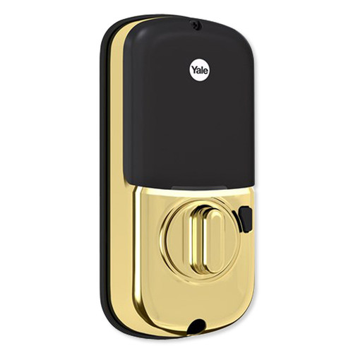 YAYRD226ZW2x media Lifetime Brass 271.jpg