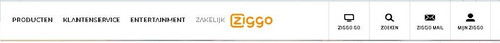 Ziggoo pic.jpg