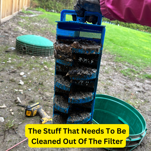 Filter Cleaning Service.png