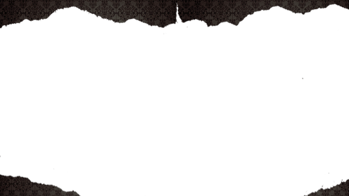 Untitled 2.png