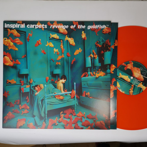 IMG 20231018 162702.jpg