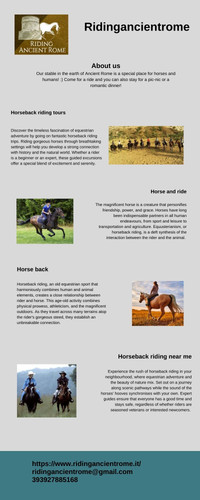 Top Equestrian Horse.jpg