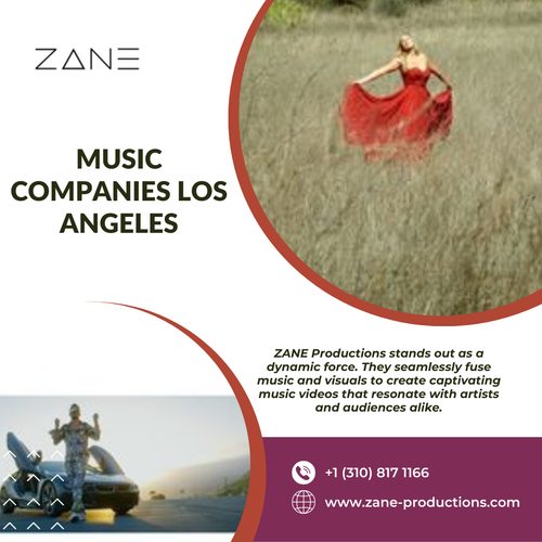 ZANE Productions..png