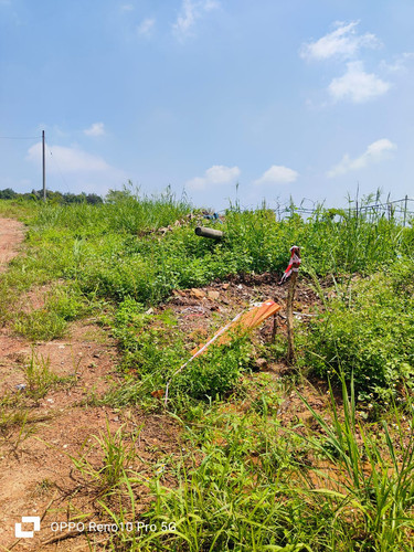 WhatsApp Image 2023 10 19 at 2.05.47 PM.jpg