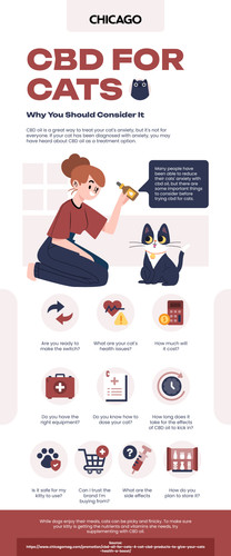 Chicago Mag Cats.jpg