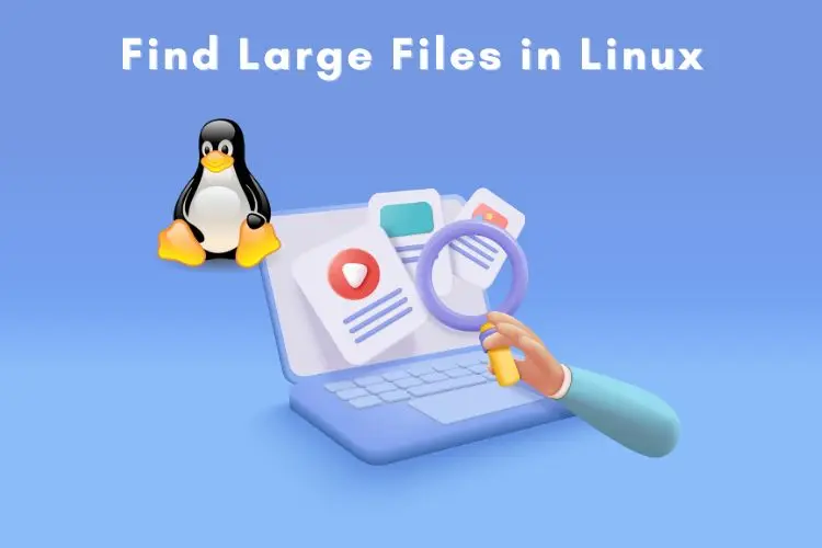 How to find large files and folders in Linux?