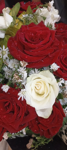 IMG 20231016 083155.jpg