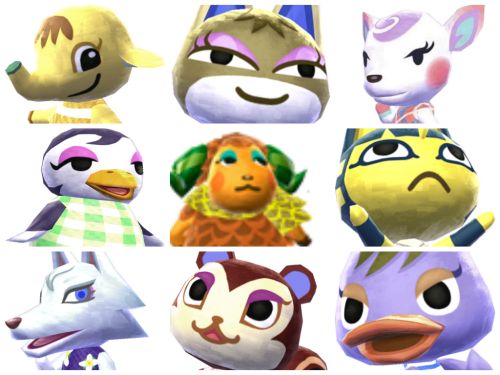 1128BeFunky snooty.jpg.jpg