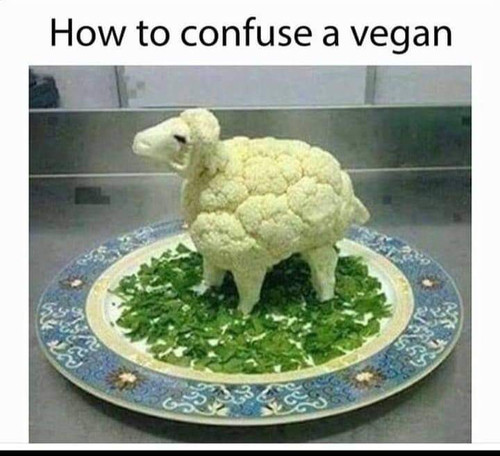 1000080444.jpg