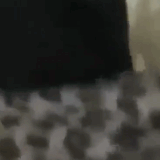  iFXvlrzNH3xRAT 1.gif
