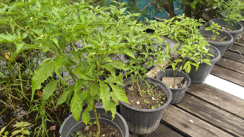 IMG 20240222 100142.jpg