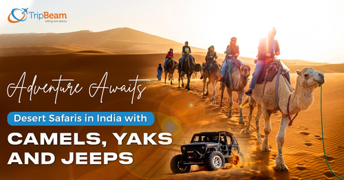 Last minute flights to India from USA www.tripbeam.com.png