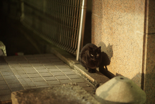 A7SDSC01690.jpg