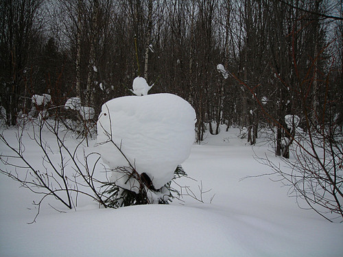 DSCN2141 1.jpg