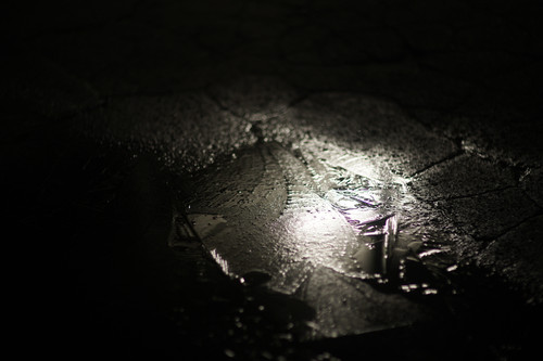 A7C03022.jpg