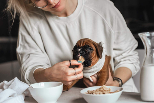 Explore Bohemian Spaw in Lisle.jpg