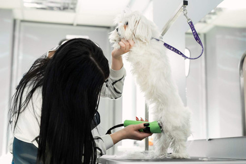 Explore A Place Like Home in Somonauk.jpg