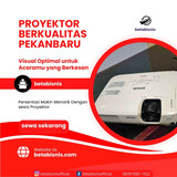 Proyektor165
