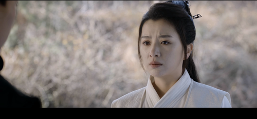 Detective.Dee.and.The.Burning.Sky.2020.2160p.WEB (1).png