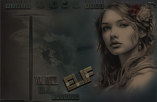 YOL DEĞİL ELİF.jpg