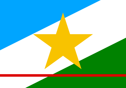 Bandeira Roraima.png