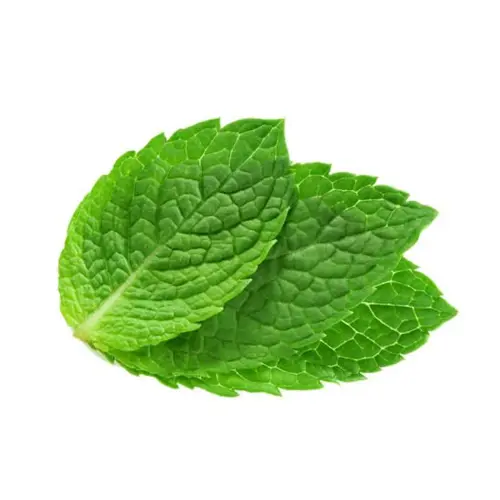 DAUNPUDINAMINTLEAVES100g74e83b