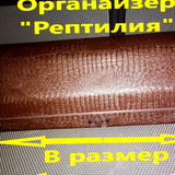 b7c1b50f81cb2593dfd885ca95f05c20