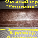 dfad0ff9ba7f49ee4e4e484bfafa998b