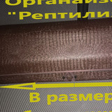 ddcad131bfe0ab11a6d649566fc0e675
