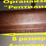 d3b1ac945770b219bc259601524ce9dd