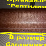 306dce66fe5f88f878f327f1977c4906