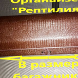 ee9dd90f59ca351e3dffb28ca73bcbca