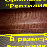 1788d620c6d7710687dae34225996ac3