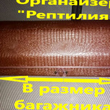 d76f4586d1b4c071e2e67c762d085ca5